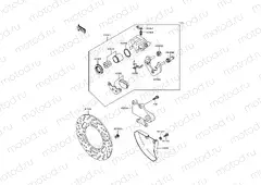Rear Brake