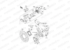 Rear Brake