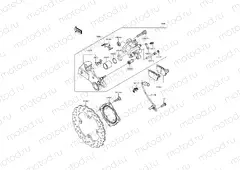 Rear Brake