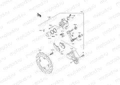Rear Brake