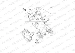 Rear Brake