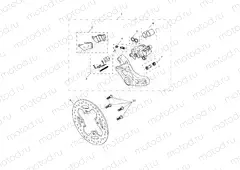 Rear Brake Caliper & Disc