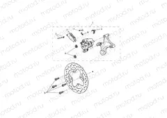 Rear Brake & Disc