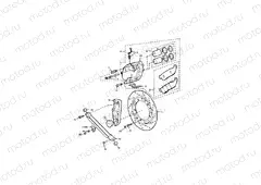 Rear Brake Disc and Caliper
