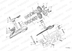 REAR HEAD - TIMING SYSTEM