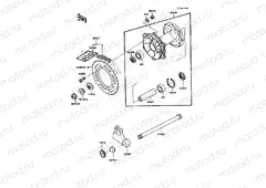 Rear Hub