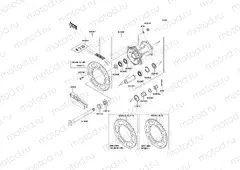 Rear Hub