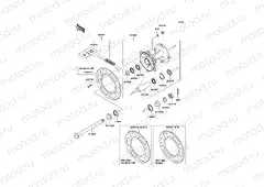 Rear Hub