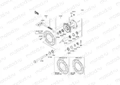 Rear Hub