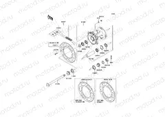 Rear Hub