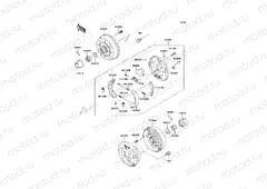 Rear Hub