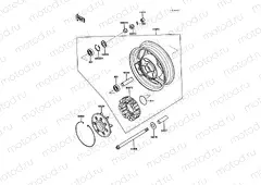 Rear Hub