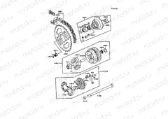 Rear Hub