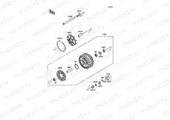 Rear Hub
