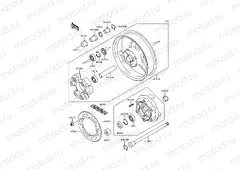 Rear Hub
