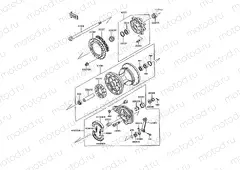 Rear Hub