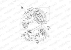 Rear Hub