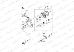 Rear Hub