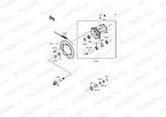 Rear Hub