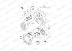 Rear Hub