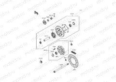 Rear Hub
