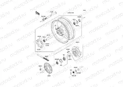 Rear Hub
