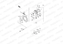 Rear Hub