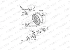 Rear Hub