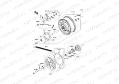 Rear Hub