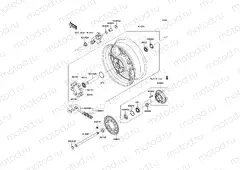 Rear Hub