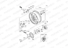 Rear Hub