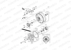 Rear Hub