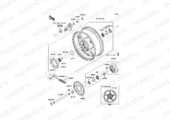 Rear Hub