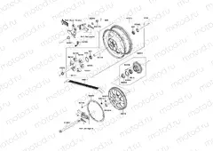 Rear Hub