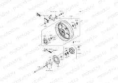 Rear Hub