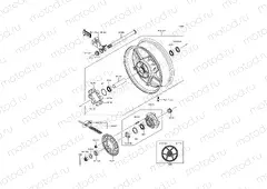 Rear Hub