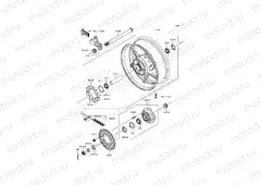 Rear Hub