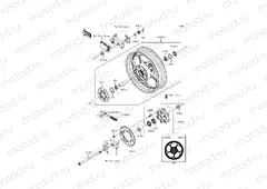 Rear Hub