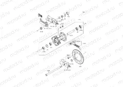 Rear Hub
