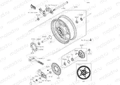 Rear Hub