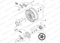 Rear Hub
