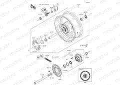 Rear Hub