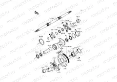 Rear Hub