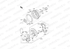 Rear Hub