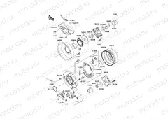 Rear Hub