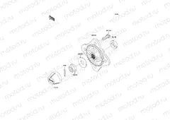 Rear Hubs/Brakes