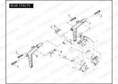 REAR STRUTS