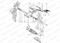 Rear Suspension Assembly