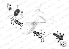 Rear swing arm, driveshaft