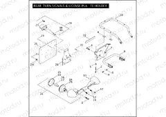 REAR TURN SIGNALS & LICENSE PLATE HOLDER